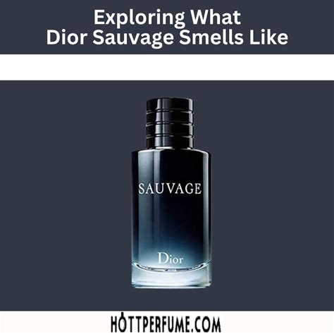 cheap alternative to dior sauvage|colognes that smell like sauvage.